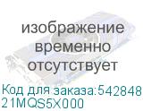 21MQS5X000