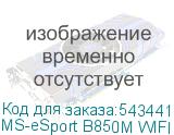 MS-eSport B850M WIFI ICE