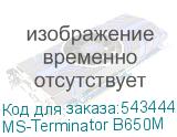 MS-Terminator B650M