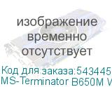 MS-Terminator B650M WIFI6
