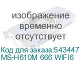 MS-H610M 666 WIFI6