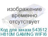 H810M GAMING WIFI6