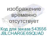 JBLCHARGE6SQUAD