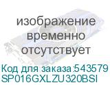 SP016GXLZU320BSI
