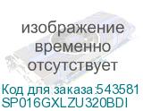 SP016GXLZU320BDI