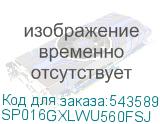 SP016GXLWU560FSJ