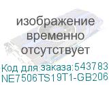 NE7506TS19T1-GB2061S