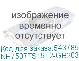 NE7507TS19T2-GB2031Y