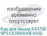 SP512GBSS30E5502