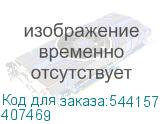 407469