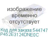 P452E3124DNE0C