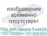 100700095+101000565