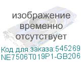 NE7506T019P1-GB2062S