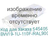 BW19-1U-110F-RAL9005