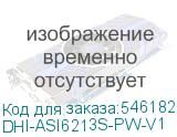 DHI-ASI6213S-PW-V1