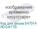 SDG4/1TB