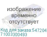 71003300493