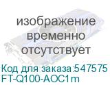 FT-Q100-AOC1m