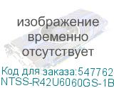NTSS-R42U6060GS-1BL
