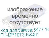 FH-DP10T30QQ01