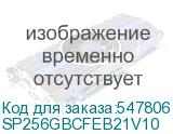 SP256GBCFEB21V10