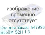 B650M S2H 1.3