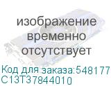 C13T37844010