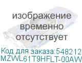 MZWL61T9HFLT-00AW7