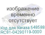 RC81-04290119-0000