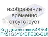 P451G3Y64DFE0C-GUN