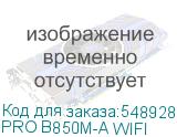 PRO B850M-A WIFI