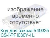 CS-I-PFI030Y-1L