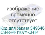 CS-R-PFI107Y-CHIP
