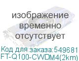 FT-Q100-CWDM4(2km)