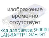 LAN-6AFTP-LSZH-GY