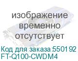 FT-Q100-CWDM4