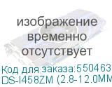 DS-I458ZM (2.8-12.0MM)