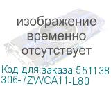 306-7ZWCA11-L80