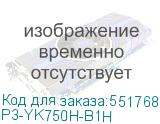 P3-YK750H-B1H