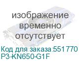 P3-KN650-G1F