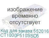 CT1000P510SSD5