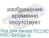 PRO B850M-G