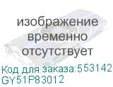 GY51P83012