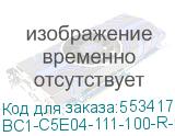 BC1-C5E04-111-100-R-G