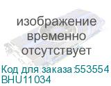 BHU11034