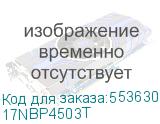 17NBP4503T