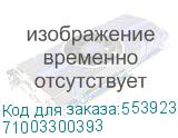 71003300393