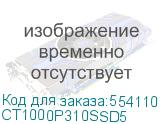 CT1000P310SSD5