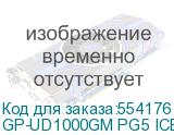 GP-UD1000GM PG5 ICE
