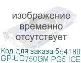 GP-UD750GM PG5 ICE